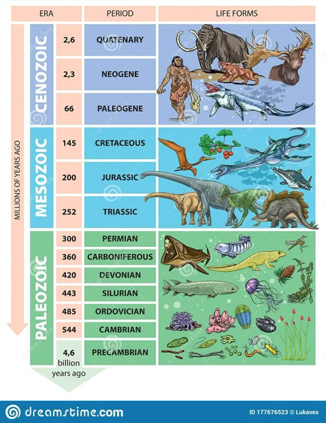 Time Periods History, Geologic Time Scale Timeline Project, Geology Study, Geological Time Scale Timeline, Geological Time Scale Project, Geology Poster Design, Geological Map, Geologic Time Scale Drawing, Prehistoric Timeline