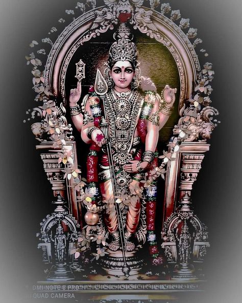 திருச்செந்தூர் முருகன் Image, Tiruchendur Murugan Images Hd, Palani Murugan Raja Alangaram, Thiruchendur Murugan Hd Wallpaper, Lord Palani Murugan Hd Wallpaper, Murugan Hd Wallpaper, Cute Murugan Images, Tamil God, Murugan Images