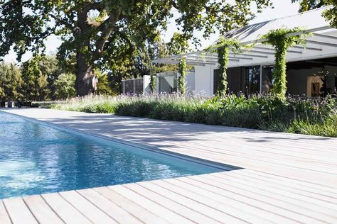 Decking Options, Pool Decking, Pool Umbrellas, Pool Landscape, Pool Water Features, Pergola Ideas, Concrete Pool, Timber Deck, Pool Maintenance