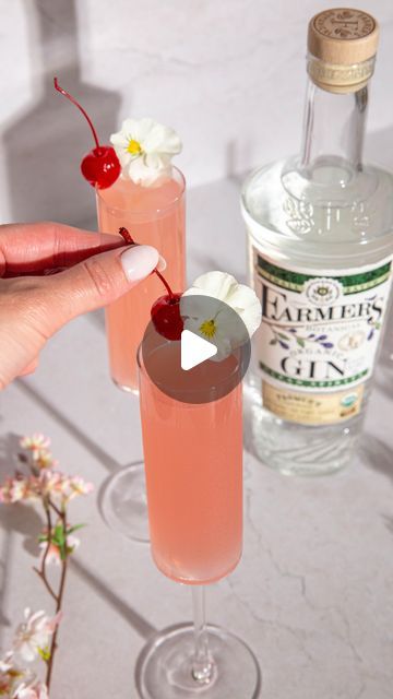 Kelly Pettit on Instagram: "#ad I’m a cherry blossom baby 🍒🌸 Nothing says springtime like this Cherry Blossom French 75, made with USDA-certified Organic @FarmersGin! It’s floral, light, refreshing, and super simple to make!

1.5 oz Farmer’s Organic Gin
.5 oz cherry blossom syrup*
.5 oz fresh lemon juice
Top with sparkling rosé

Method: Combine gin, cherry blossom syrup, and lemon juice in a cocktail shaker with ice and shake for 10 seconds. Strain into a flute glass and top with sparkling rosé. Garnish with a cherry and edible flower. 

*Cherry blossom syrup: Combine 1 tbsp cherry blossom powder (can find on Amazon), 1 cup sugar, and 1 cup water in a small saucepan and bring to a boil. Boil for 5 mins, simmer for 10. Remove from heat and let cool completely. Store remaining syrup in the Flower Cherry Blossom, French 75, Flute Glass, Cocktail Shaker, 10 Seconds, Edible Flowers, Fresh Lemon Juice, Lemon Juice, Super Simple