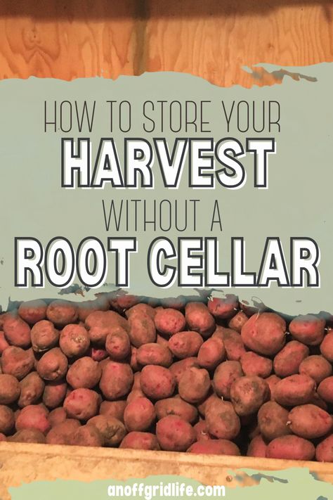 Potatoes stored in wooden bin Cold Storage Ideas, How To Build A Root Cellar Food Storage, Small Root Cellar Ideas, Diy Cold Storage Root Cellar, Root Cellar Alternatives, Indoor Root Cellar, Root Cellar In Garage, Crawl Space Root Cellar, Diy Cold Storage