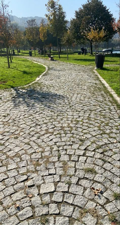 Cobblestone Backyard, Cobblestone Sidewalk, Diaroma Ideas, Bentley University, Garden Pavers, Cobble Stone, Stone Road, Courtyard Gardens, Courtyard Gardens Design