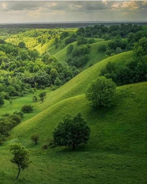 Green Beauty, Nature Landscape, Eastern Europe, Safe Place, Serbia, Old Photos, Golf Courses, Places To Visit, How To Plan