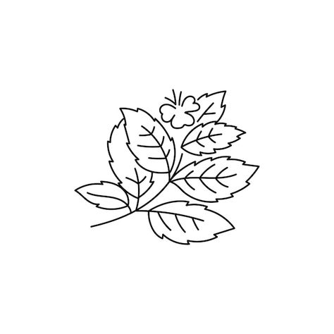 Lemon balm plant branch line icon editab... | Premium Vector #Freepik #vector #melissa #herbal #lemon-balm #mint Lemon Balm Illustration, Lemon Balm Plant, Vector Sketch, Sketch Illustration, Psd Icon, Lemon Balm, Line Icon, Vector Photo, Premium Vector