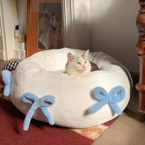 Elegant Coquette, Luxury Cat Bed, Dog Beds For Small Dogs, Cozy Spot, Cute Bedroom Decor, Space Cat, Cat Room, Cat Accessories, Pet Mat