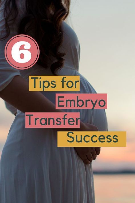 As you navigate IVF there are many new things to learn. The embryo transfer is the culmination of everything you have gone through and the final step before seeing that positive pregnancy test. Check out these 6 tips to a successful embryo transfer, and what you can expect. How to keep your uterus warm. IVF transfer tips. Fet Transfer Tips, Ivf Embryo Transfer, Frozen Embryo Transfer Diet, Embryo Transfer Affirmations, Embryo Transfer Diet, Bicornuate Uterus Pregnancy, Ivf Transfer Tips, Embryo Transfer Tips, Fet Ivf