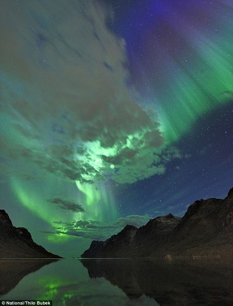 Cer Nocturn, Northern Lights Norway, Aurora Borealis Northern Lights, The Killers, Trip Planner, See The Northern Lights, The Aurora, The Night Sky, Alam Yang Indah