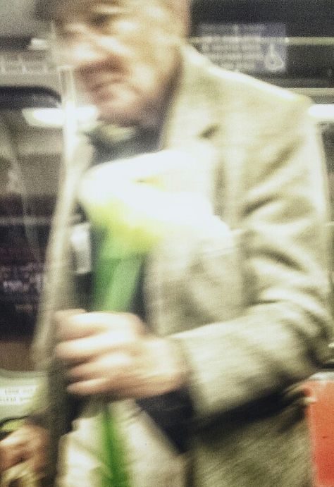 Florist Aesthetic Male, Old Man With Flowers, Growing Old Aesthetic, Man Bringing Flowers, Old Man Gardener, Old Man Aesthetic, Man Aesthetic, Flowers For Men, Goldfinch