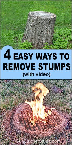 How to Remove Tree Stumps (4 EASY DIY Methods) – DIY Projects, Patterns, Monograms, Designs, Templates How To Hide A Tree Stump, How To Remove Tree Stumps Fast, Things To Do With Tree Stumps, Easy Diy Outdoor Projects, Tree Log Ideas Outdoor, How To Get Rid Of Tree Stumps Fast, Planters For Front Porch Easy Diy, Cover Tree Stump Ideas, How To Burn A Stump Out