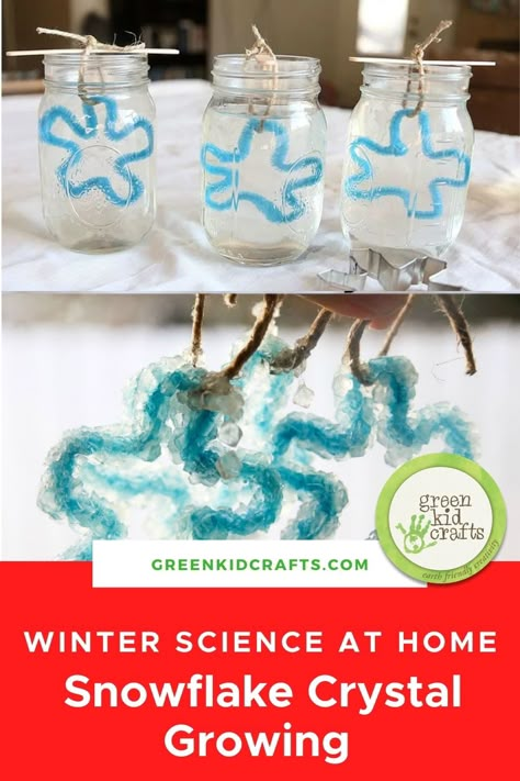 snowflake crystal craft Salt Crystal Snowflakes, Snowflake Science, Winter Science Projects, Grow Your Own Crystals, Winter Science Experiments, Crystal Growing, Green Crafts For Kids, Winter Science, January Activities