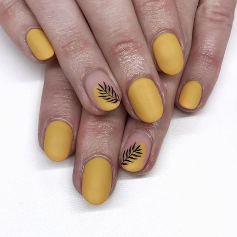 Matte mustard nails are perfect for autumn 🍂💛 . . . #mustard #mustardyellow #mustardnails #autumnvibes #mattenails #autumnnails… Mustard Gel Nails Ideas, Mustard And Grey Nails, Matte Mustard Nails, Mustard Nails Gel, Autumn Yellow Nails, Mustard Colored Nails, Mustard Yellow Nail Art, Mustard Color Nails, Mustard Yellow Nails Designs