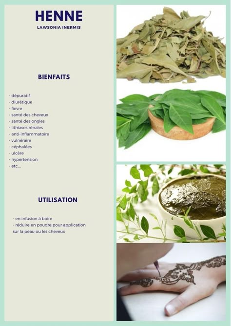 Herb Candles, Herbal Teas Recipes, Herbs For Health, Natural Herbs, Tea Recipes, Herbal Medicine, Health Remedies, Hair Oil, Healthy Tips