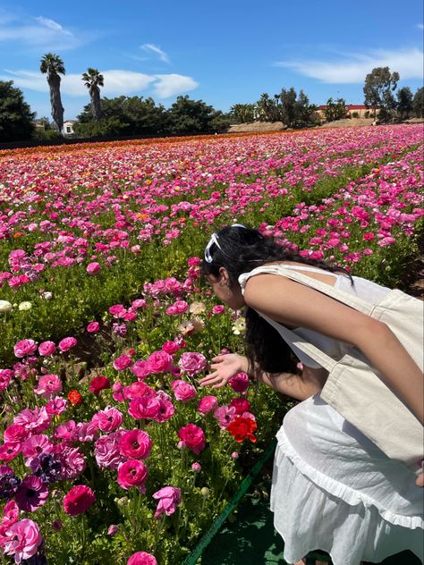 Poses For Flower Fields, Flower Field Instagram Pictures, Carlsbad Flower Fields Photoshoot, Flower Feild Pics Aesthetic, Flower Field Poses, Garden Pictures Poses, Garden Poses, Flower Field Aesthetic, Field Poses