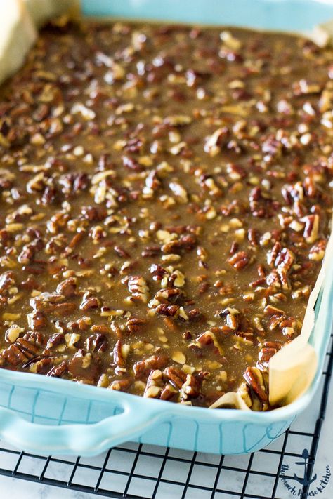 Cheesecake Bars with Pecan Praline Topping | The Beach House Kitchen Praline Cheesecake Bars, Pecan Praline Topping, Praline Cheesecake, Chocolate Graham Cracker Crust, Beach House Kitchen, Cheesecake Squares, Pecan Praline, Pecan Pralines, The Beach House