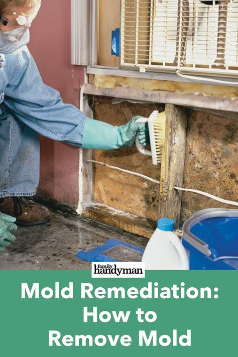 Basement Mold Removal, Mold Remediation Diy, Lakehouse Remodel, Bathroom Mold Remover, How To Remove Mold, Remove Mold, Cleaning Schedules, Mold Exposure, Mold In Bathroom