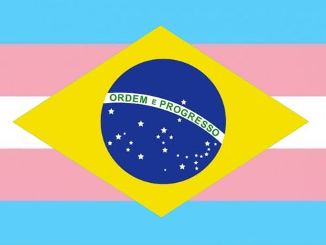 #trans #brazil Lgbtq Flags, Us Flag, Brazil, Flag, Memes