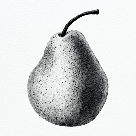 Pear Pencil Drawing, Fruit Black And White, Pear Tattoo, Black And White Fruit, Pear Illustration, Pear Drawing, Lemon Drawing, Artwork Black And White, Fruit Artwork