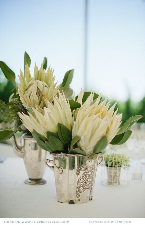 Wit protea Protea Arrangements, Plaas Troue, Protea Wedding, Small Wedding Bouquets, Protea Art, Create Wedding Invitations, Safari Wedding, Christening Ideas, Low Centerpieces