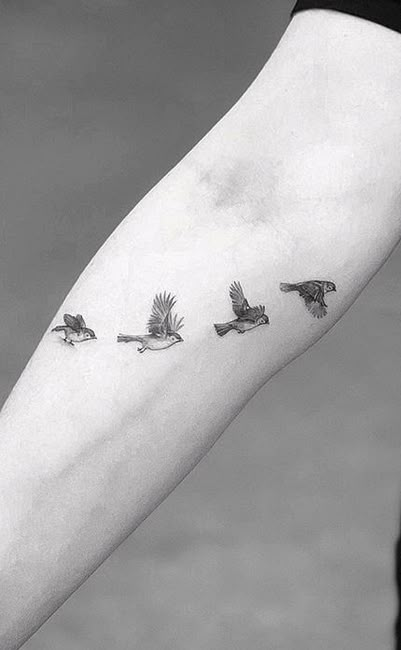 Small Detailed Bird Tattoo, Sparrow Silhouette Tattoo, Three Sparrows Tattoo, Colorful Sparrow Tattoo, Christian Sparrow Tattoo, Sparrows And Lillies Tattoo, White Throated Sparrow Tattoo, Flying Sparrow Tattoo, Realistic Sparrow Tattoo