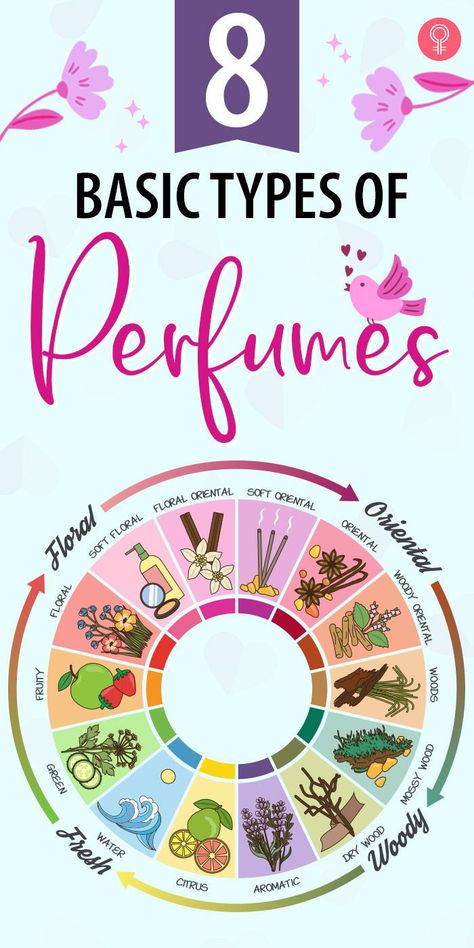 Types Of Fragrance, Types Of Perfumes Fragrance, Different Types Of Perfume, Different Perfume Scents, Types Of Perfume Scents, Types Of Scents, Perfume Scents Chart, Perfume Types, Types Of Perfume