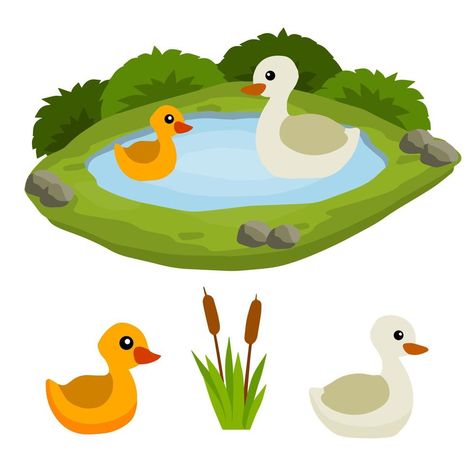 Ducks At A Pond, Bird In Water, Ducks In Pond, Lake Animals, Pond Animals, Animal Clipart, In Water, Ducks, Vector Art