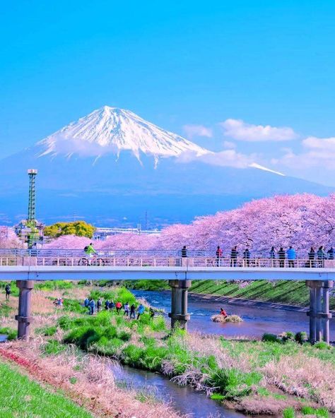 Shizuoka,Japan⁡ 📸ramumi8 ⁡⁡ Mount Fuji Japan, Nature Background Images, Tokyo City, Cherry Trees, Go To Japan, Landscape Art Painting, Best View, Shizuoka, Mount Fuji