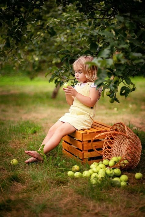 Apple Orchard Photography, Apple Orchard Pictures, Baby Announcement Photoshoot, Easter Photoshoot, Foto Newborn, Apple Photo, Toddler Photography, Photography Decor, Fall Family Photos