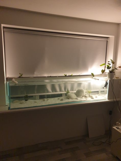 White Fish Tank Decor, Minimalist Fish Tank, Cute Aquarium Ideas, Aquarium Bedroom, Minimalist Aquarium, Terrarium Tank, Discus Aquarium, Fish Tank Themes, Aquarium Garden