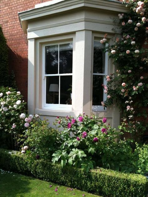 Roses around the bay window Front Garden Bay Window, Bay Window Flower Beds, Front Garden Under Window Ideas, Landscaping In Front Of Bay Window, Bay Window Garden Ideas Outside, Bay Window Landscape Ideas, Exterior Bay Window Ideas, Bay Window Landscaping, White Sheds