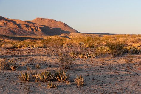 American Desert Landscape, Desert Desktop Wallpaper, Texas Landscape Photography, Texas Desert Landscaping, Texas Background, West Texas Landscape, Southwestern Gothic, Texas Aesthetic, Texas Desert