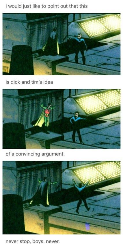 Nightwing And Tim Drake, Cute Damian Wayne, Young Justice Tim Drake, Tim Drake Titans, Duck Grayson, Jason X Tim, Jason Todd X Tim Drake, Tim Drake Young Justice, Robins Bird