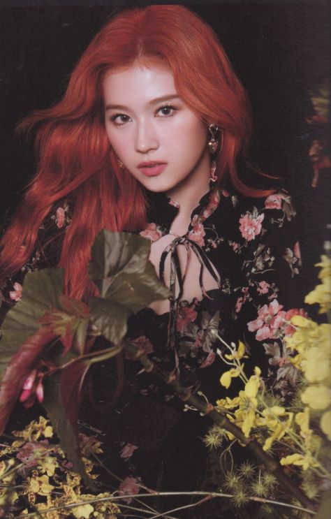 Salt 🍞 on Twitter: "[SCAN] More & More version A - Sana  #사나 #SANA… " Sana More & More, Twice More & More, Sana Minatozaki, Sana Momo, Twice Once, Minatozaki Sana, Twice Sana, More More, Orange Hair