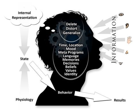 Neurosequential Model Of Therapeutics, Nlp Communication Model, Wellness Environment, Nlp Techniques How To Use, Schemas In Psychology, Mental Telepathy Communication, Emotional Mastery, Nlp Coaching, Nlp Techniques