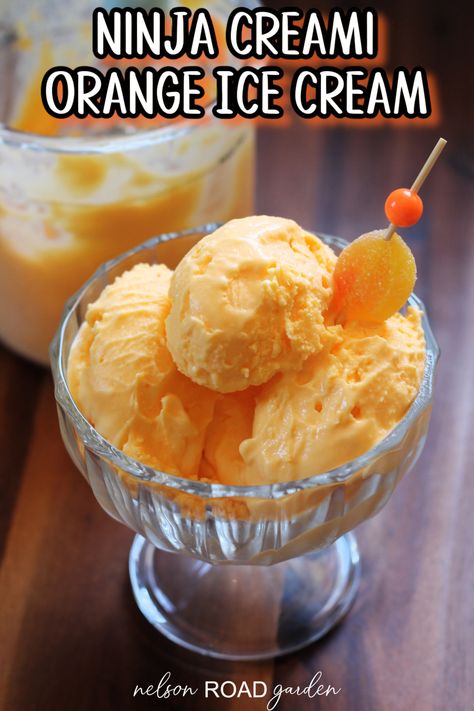 Make this super creamy Ninja Creami orange ice cream with ease! Only three ingredients needed to make this delicious treat. Ninja Creami Orange Julius, Creamsicle Ninja Creami, Orange Ninja Creami, Orange Sherbet Recipe Ninja Creami, Orange Sherbet Ninja Creami, Ninja Creami Orange Sherbet, Ninja Creami Orange Creamsicle, Orange Sorbet Ninja Creami, Orange Ice Cream Recipe