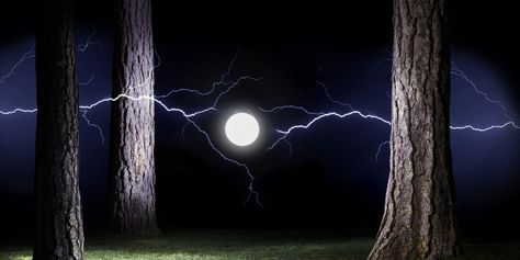 Natural Ball Lightning Recorded By Scientists For First Time Ever (VIDEO) Ball Lightning, Science Articles, Lightning Strikes, Harry Potter Movies, Earth Science, Mother Earth, Astronomy, Mother Nature, First Time