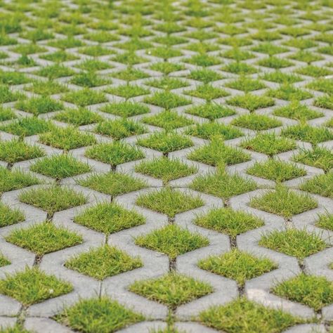 Grass Paving, Permeable Driveway, Grass Pavers, Lawn Borders, Permeable Paving, Yard Diy, Garden Grass, Water Flood, Paving Design