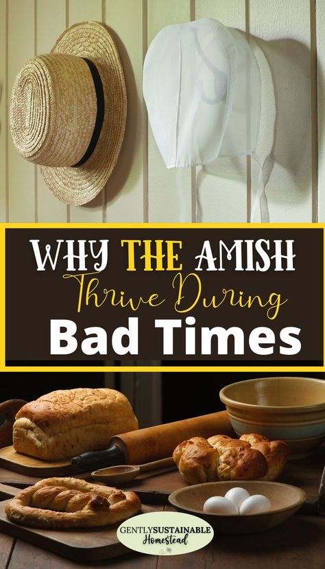 ver wonder why the Amish live they way they do? After centuries of persecution, the Amish understand how to provide for themselves and live a completely sustainable lifestyle. What can you learn about the Amish that will make you more self-sufficient? Check out "How the Amish Thrive During Bad Economic Times"! #amish #amishpeople #amishcommunity How To Live Like The Amish, Pioneer Lifestyle, Amish Lifestyle, Amish Living, Amish House, Amish Culture, Amish Life, Modern Homesteading, Homesteading Ideas