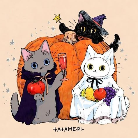 Stephanie Priscilla, Happy Halloween Signs, Cats Photos, Halloween Cats, Cat Art Illustration, 강아지 그림, Halloween Illustration, Halloween Drawings, Cats Illustration