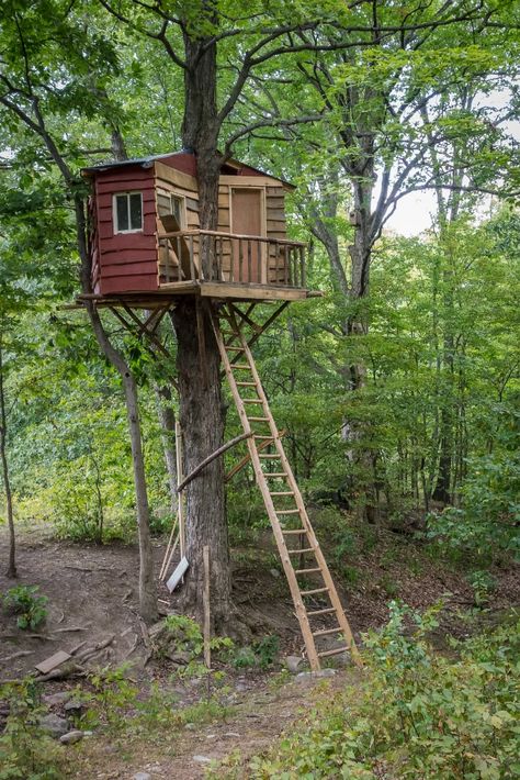 Adore this tree house in the woods! Tree Houses For Kids, Treehouse Kids, Simple Tree House, Garden Escape, Building A Treehouse, Tree House Plans, Backyard Trees, Tree Fort, Tree House Diy