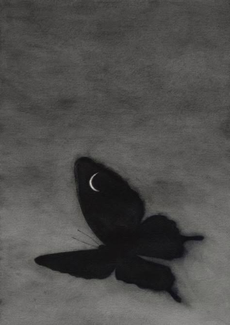 White Photo, A Butterfly, The Sky, The Moon, Moon, Black And White, White, Black