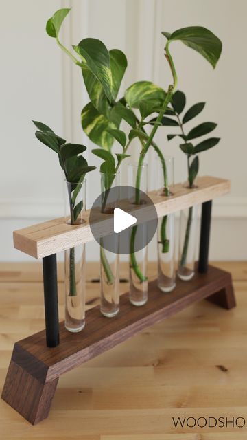 Woodshop Diaries | Shara on Instagram: "I had a Krazy idea for a modern DIY propagation station #ad So I grabbed some scrap wood, test tubes and some @krazyglueofficial to see if I could bring it to life. Krazy Glue Fast Dry Wood Glue is my go to for gluing up small and angled pieces like I used in this project because they’re difficult to clamp. Since this glue dries Krazy fast and Krazy strong (and also clear!), I can simply hold the pieces together for a few seconds to form a bond instead of dealing with complicated jigs and clamps. Within five minutes I had a fun and modern station to prepare my plant clippings for planting. Check out the blog for the full tutorial to make your own! #KrazyGlueAmbassador #KrazyDIY #ItTakesALittleKrazy" Propagation Station Diy, Diy Propagation Station, Diy Propagation, Plant Clippings, Woodshop Diaries, Propagation Station, My Plant, Shop Projects, Test Tubes