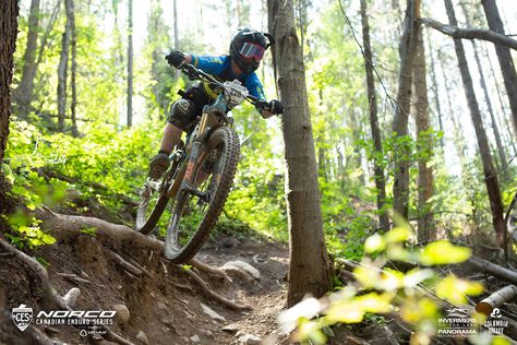 At-home strength training for mountain bikers - Canadian Cycling Magazine Mountain Bike Training, Strength Training Plan, Home Strength Training, Spin Bike Workouts, Bear Crawl, Spinning Workout, Bike Training, Strength Training Program, Body Gym