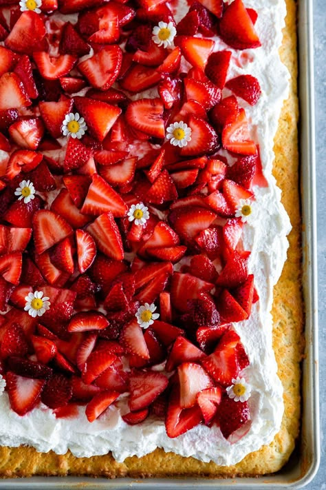 Fresh Strawberry Shortcake, Dessert Sheet Pan Recipes, Moist Strawberry Shortcake, Fruit Shortcake, Spring Desserts For A Crowd, Sheet Pan Dessert, Cake For Strawberry Shortcake, Fresh Summer Desserts, Sheet Pan Cakes For A Crowd