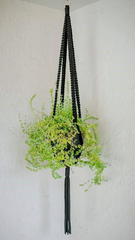 Black Plant Hanger, Macrame Plant Hanger Black, Black Macrame Plant Hanger, Macrame Black, Macrame Hangers, Macrame Plant Hanger Patterns, Black Macrame, Diy Macrame Plant Hanger, Macrame Hanger