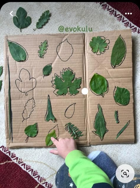 Outdoor Montessori Activities, Forest Activities For Preschool, Nature Based Preschool, Forest School Activities, Hairstyles For Black Girls Kids, Hairstyles For Toddlers, Nursery Activities, Nature School, Baby Learning Activities