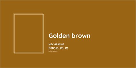 HEX #996515 Golden brown Color - Color Code Munsell Color System, Brown Packaging, Golden Brown Color, Analogous Color Scheme, Rgb Color Codes, Colorful Website, Hexadecimal Color, Rgb Color Wheel, Monochromatic Color Palette