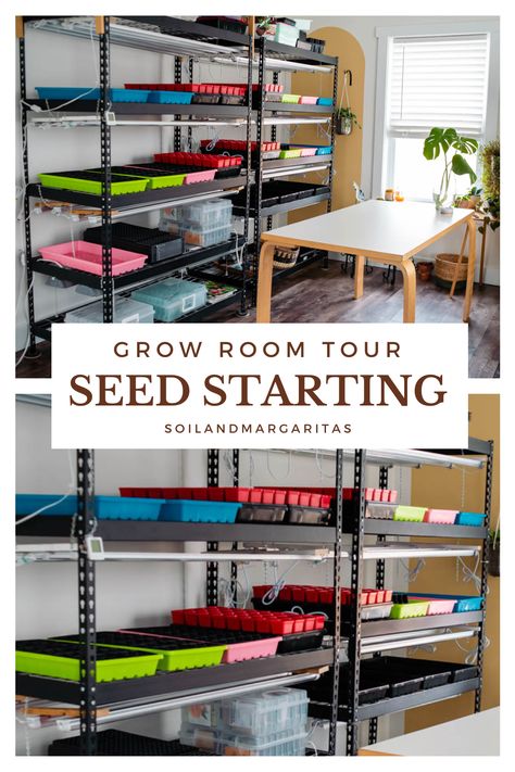 Seed Starting Room Ideas, Indoor Plant Growing Station, Indoor Seed Starting Setup Diy, Indoor Seed Starting Setup, Seedlings Indoors Starting, Seed Starting Setup, Plants Business, Seed Starting Indoors, Seed Sprouting