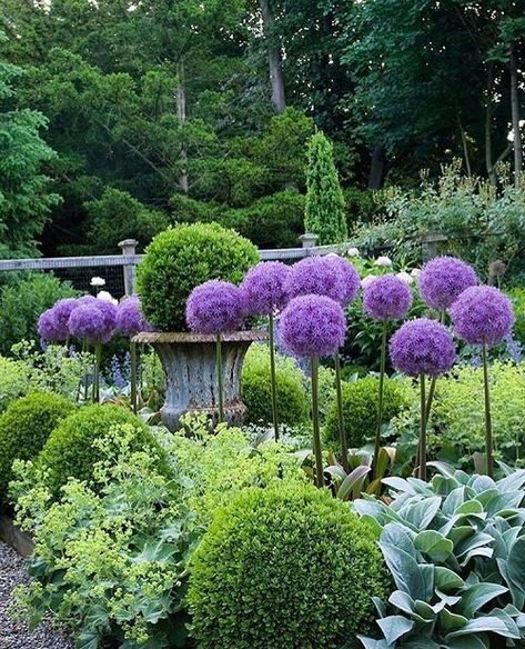 Pocket Garden, Purple Plants, Purple Garden, Low Maintenance Landscaping, Have Inspiration, Garden Features, Gorgeous Gardens, Town Country, Garden Cottage