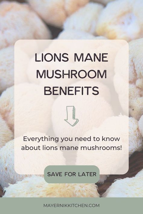 Lions Mane Benefits, Lions Mane Mushroom Recipe, Lion Main, Herbal Salve Recipes, Health Benefits Of Mushrooms, Herbal Education, Mushroom Benefits, Wild Food Foraging, Herbal Remedies Recipes