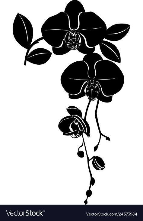 Orchids flowers it is isolated Royalty Free Vector Image Orchid Silhouette, Orchid Vector, Marimekko Print, Orchid Pattern, Art Markers Drawing, Orchids Flowers, Orchid Tattoo, Flower Outline, Plant Vector